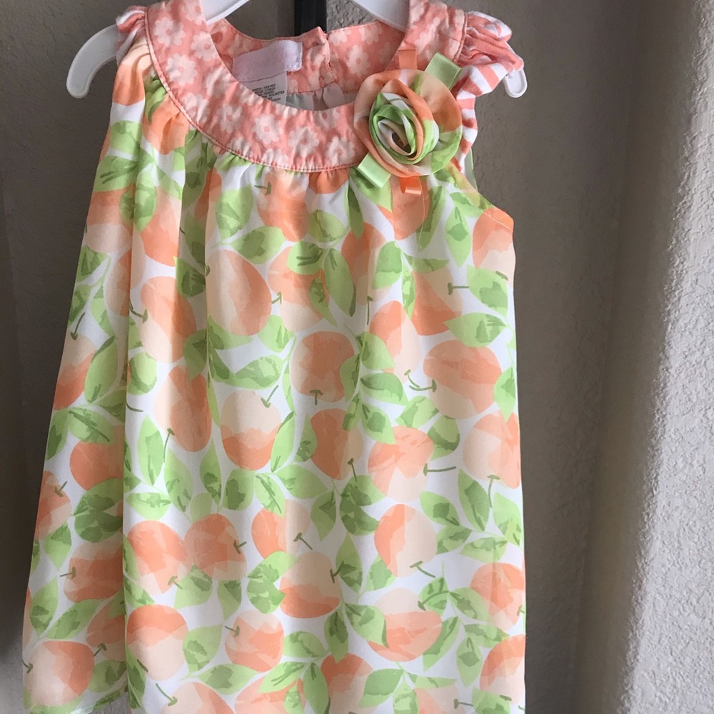 Bonnie Baby 24 Month Dress